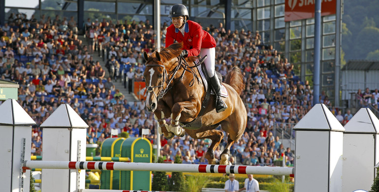 From youngster to international Grand Prix horse: Garant