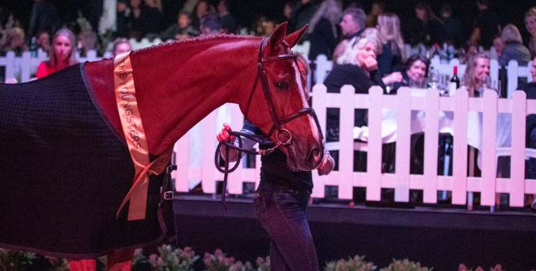 The Youngsters: top-seller Unicorn goes to Olympic gold medalist McLain Ward