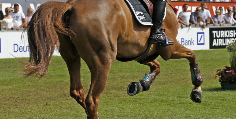 This weekend's CSI3* Grand Prix winners