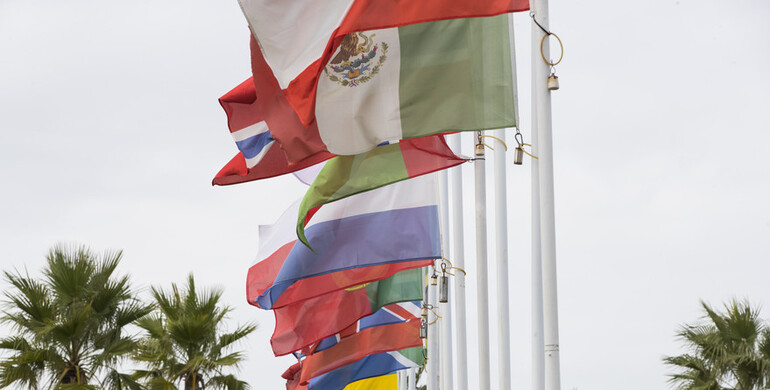 FEI General Assembly 2020 moves online