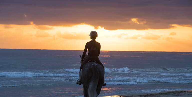Postcard from the Mediterranean Equestrian Tour