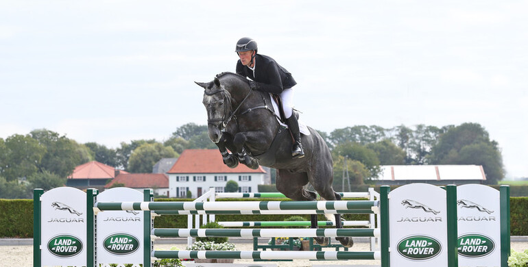 Collection 15th Holger Hetzel Sport Horse Sales now online