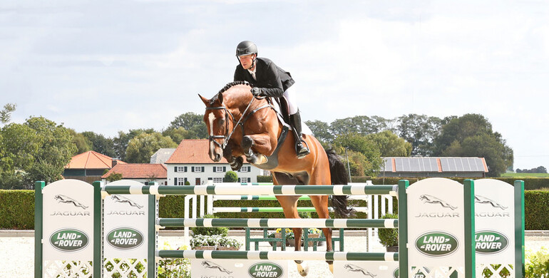 Holger Hetzel Sport Horse Sales presents: Diamond Heart