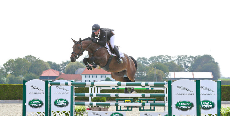 Holger Hetzel Sport Horse Sales presents: Sugar Boy