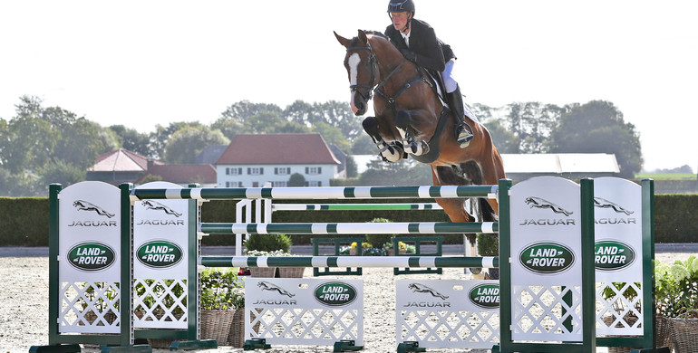 Holger Hetzel Sport Horse Sales presents: What a man
