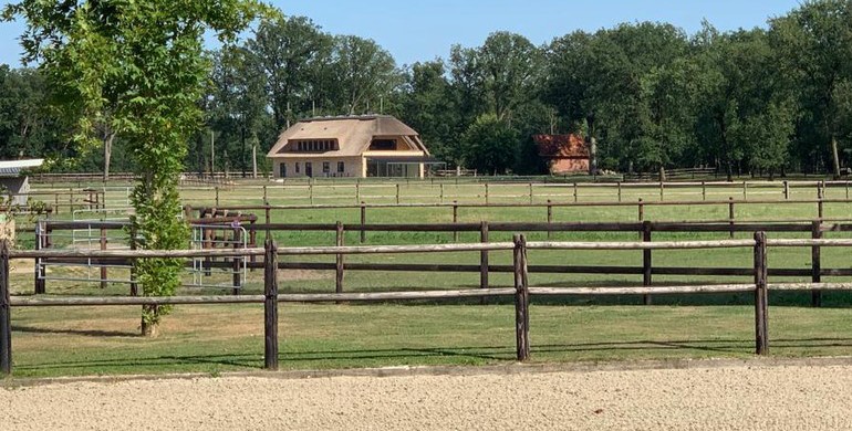 For rent: Ground floor apartment in luxurious North German Cottage with the option to stable up to 20 horses