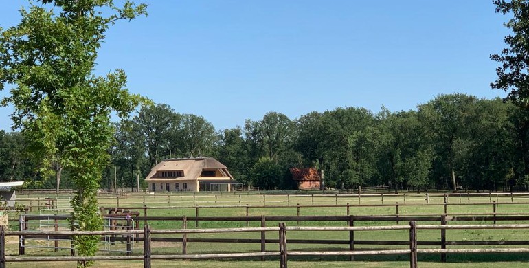 For rent: Ground floor apartment in luxurious North German Cottage with the option to stable up to 20 horses