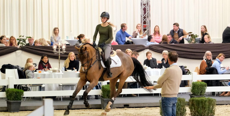 Holger Hetzel’s 15th International Sport Horse Sales: Strong interest for the auction collection