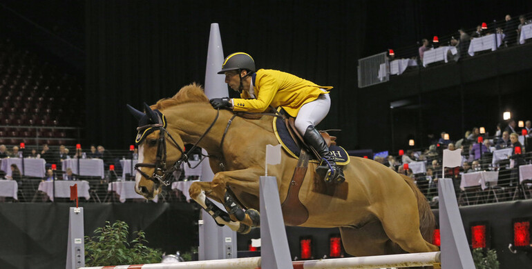Yuri Mansur's Vitiki back in action