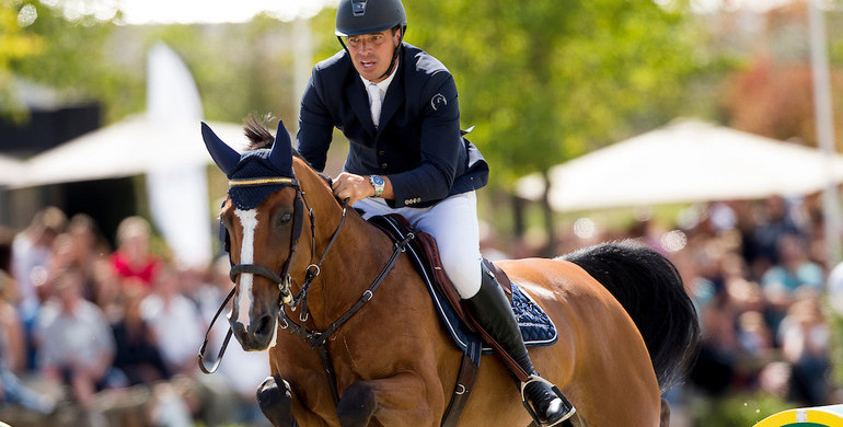 Christophe Vanderhasselt announces sale of Identity Vitseroel to Edwina Tops-Alexander