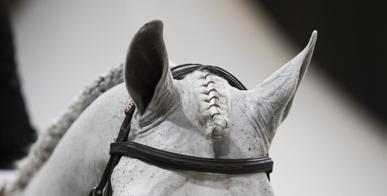 This weekend's CSI2* Grand Prix winners