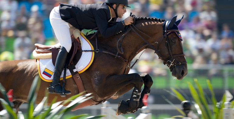 Stop looking for an extraordinary breeding or sport partner!