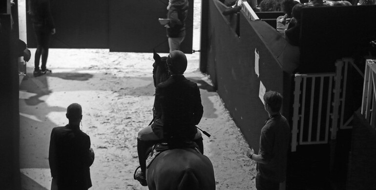 Horse travel from and to the UK: “The main challenge is to be well prepared