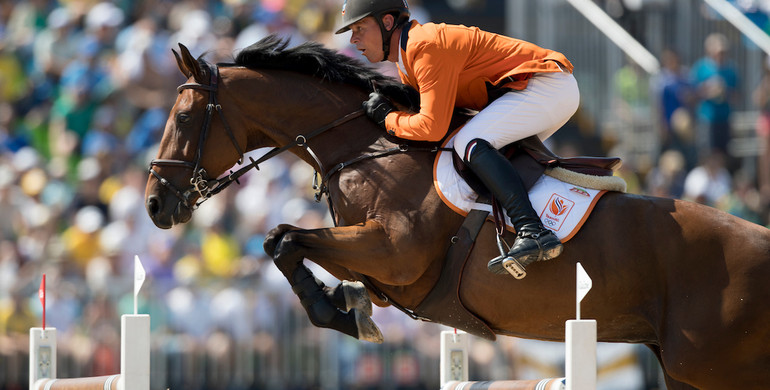 KWPN Select Sale: Promising jumping stallions with Olympic roots!