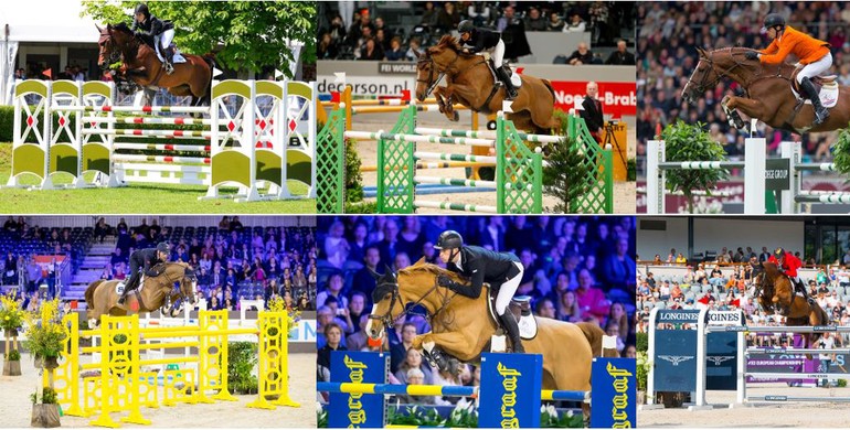 Foal Auction Prinsjesdag auctions six exclusive embryos through new platform Prinsjesdag Online