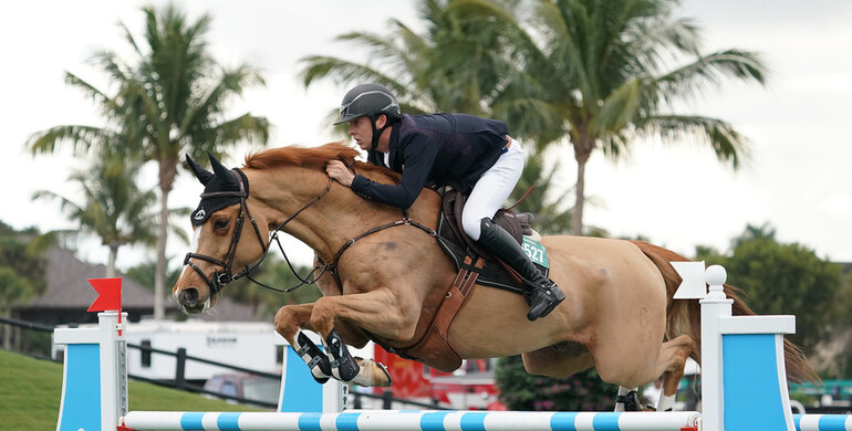 Ireland's Bertram Allen makes spectacular winning debut in week four of 2020 Winter Equestrian Festival