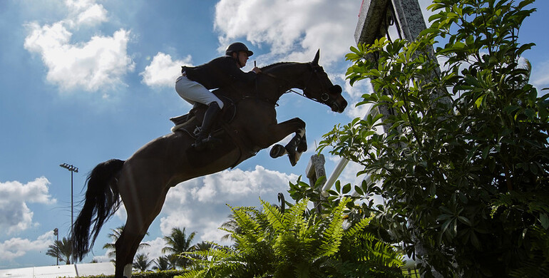 Bertram Allen’s sparkling form continues in week four of 2020 Winter Equestrian Festival