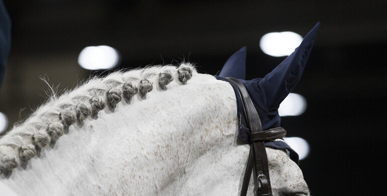 CSI2* Lexington International receives final approval to proceed in June