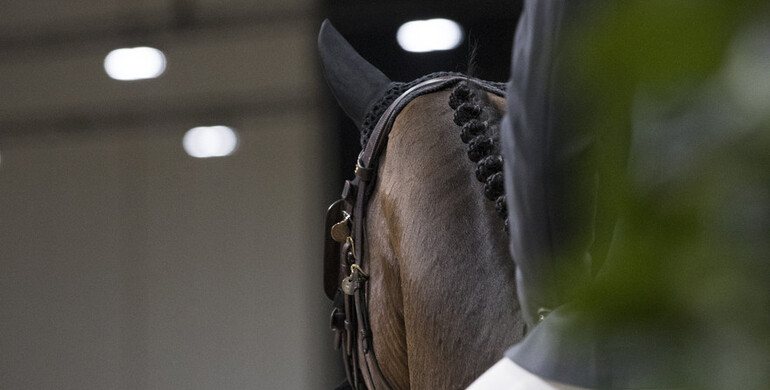 Partner Pferd Leipzig 2021 cancelled
