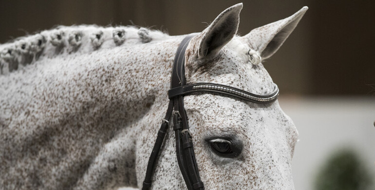 This week's CSI3* and CSI2* Grand Prix winners