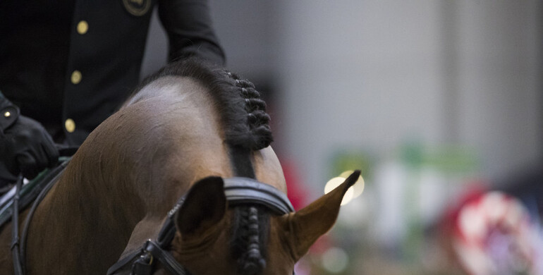 This weekend's CSI3* and CSI2* Grand Prix winners