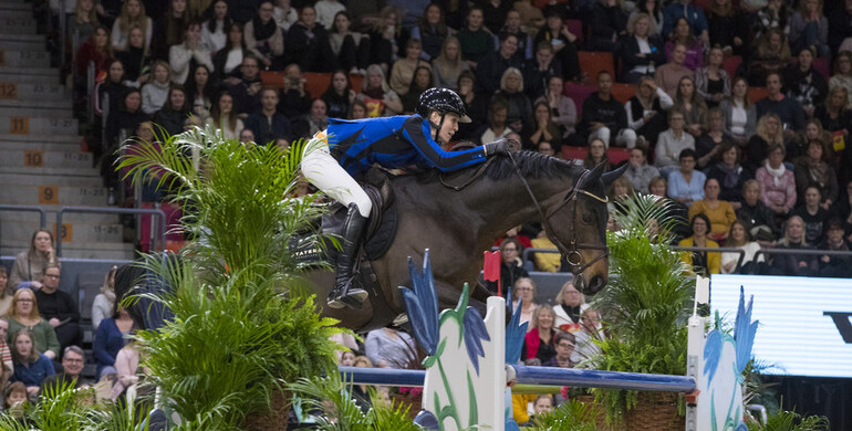 Strong comeback for Singular LS La Silla