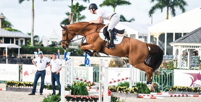 VDL Iowa top-seller at the WEF Sport Horse Auction
