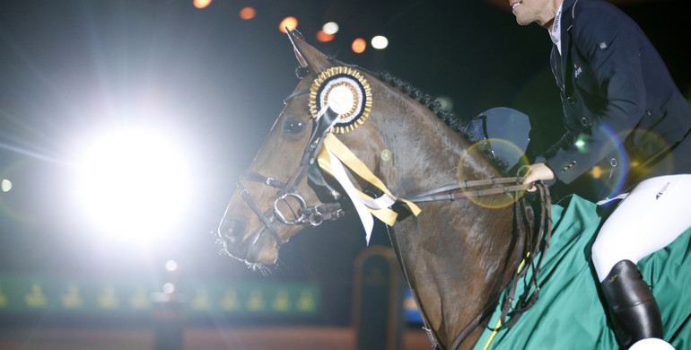 From youngster to international Grand Prix horse: Mary Lou