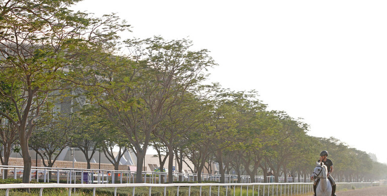Postcard from CHI Al Shaqab