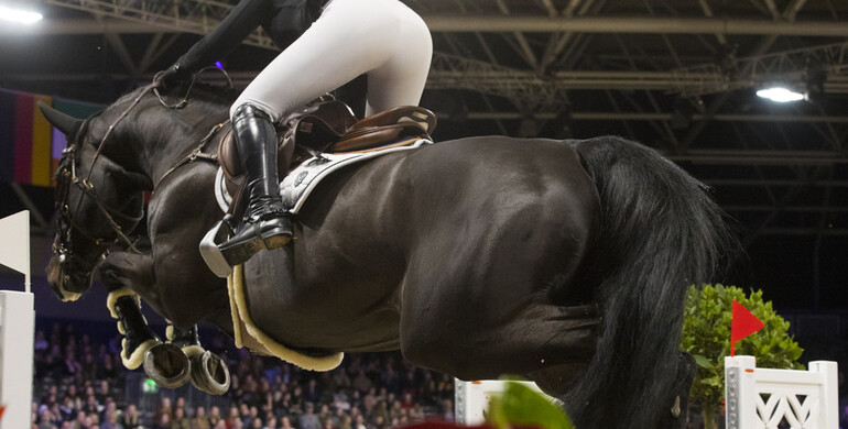 FEI Board approves Jumping Calendar Task Force resolutions