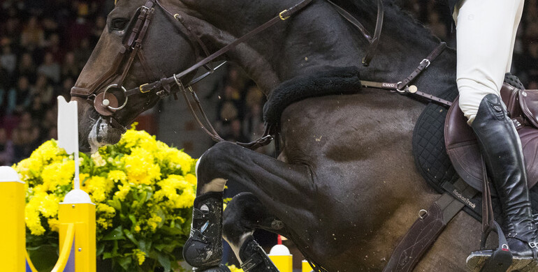 This weekend's CSI2* Grand Prix winners