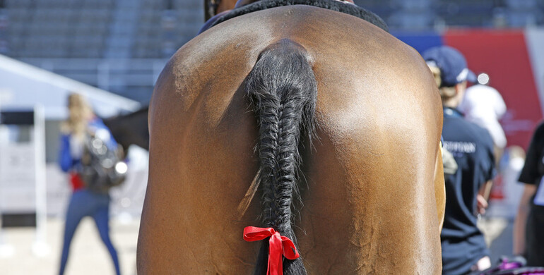 The FEI Board approves proposed changes to the FEI General Regulations and the Anti-Doping Rules