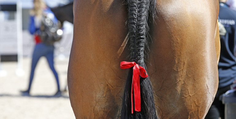 EHV-1 outbreak: CES Valencia Spring Tour continued with competitions despite FEI orders to cancel