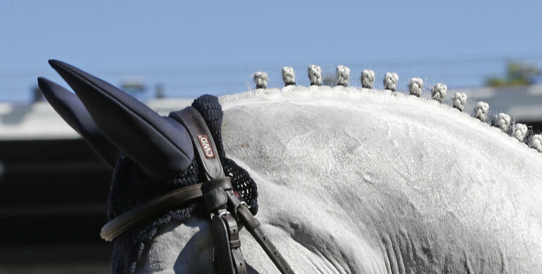 The 2020 Split Rock Jumping Tour hosts CSI2* Lexington International under Covid-19 protocol and guidelines