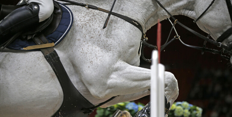 This weekend's CSI2* Grand Prix winners