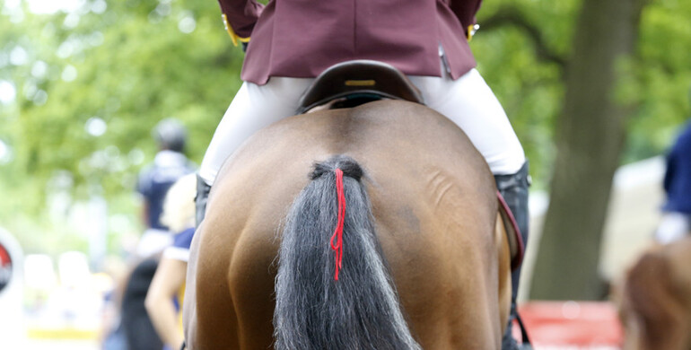 FEI reviewing measures to limit the impact of event cancellations