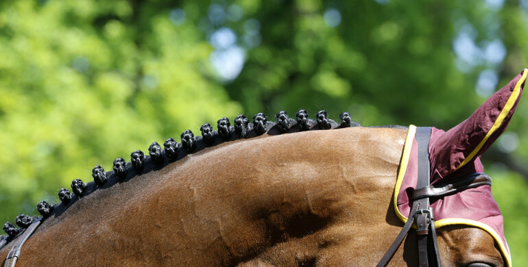 Jumping International de Chantilly cancels 2020-edition