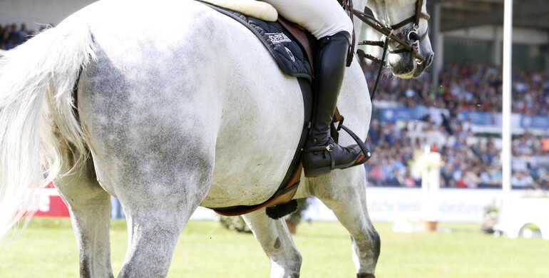 The 2021-edition of Dublin Horse Show cancelled