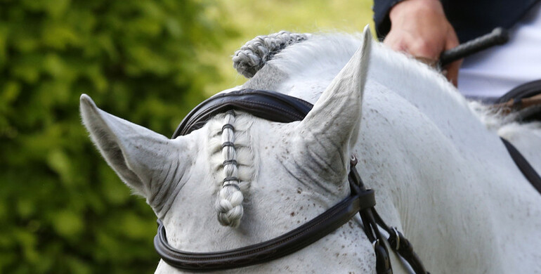 Royal Windsor Horse Show and Pfingstturnier Wiesbaden among further cancellations