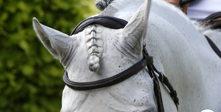 FEI consults stakeholders on Return To Competition-protocols