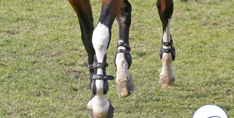 CSIO St.Gallen cancelled, the Longines FEI Nations Cup Europe Division 1 down to four legs