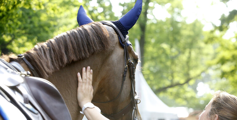 The British Grooms Association’s Lucy Katan: “British grooms should not travel to other European countries as of January 1st”