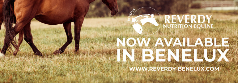 Reverdy Equine Nutrition now available in Benelux