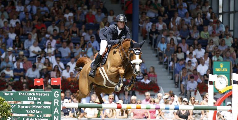 Babalou 41 retires from the sport