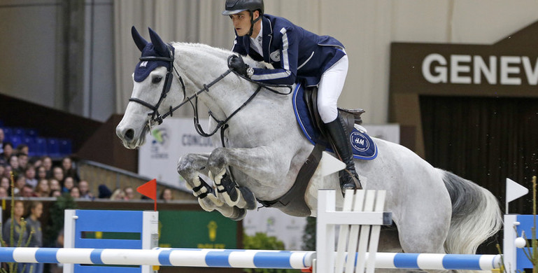 From youngster to international Grand Prix horse: H&M Legend of Love