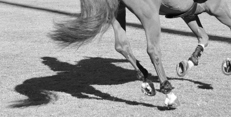 New LGCT and GCL partnership confirmed