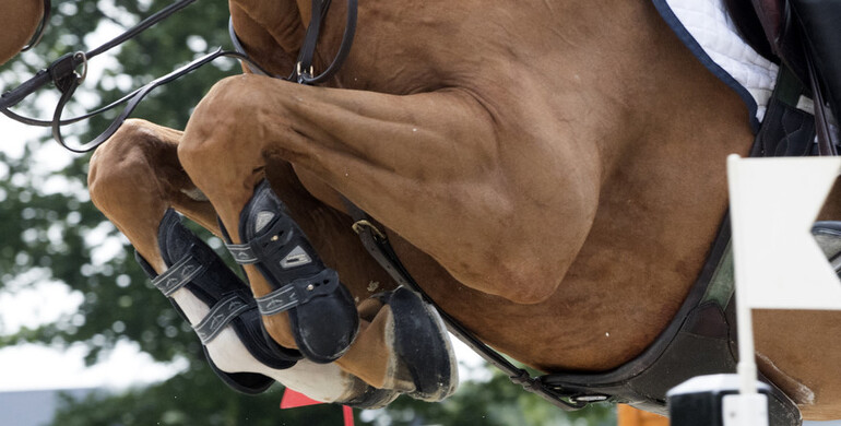 Marc Dilasser wins the CSI3* Grand Prix at Sentower Park