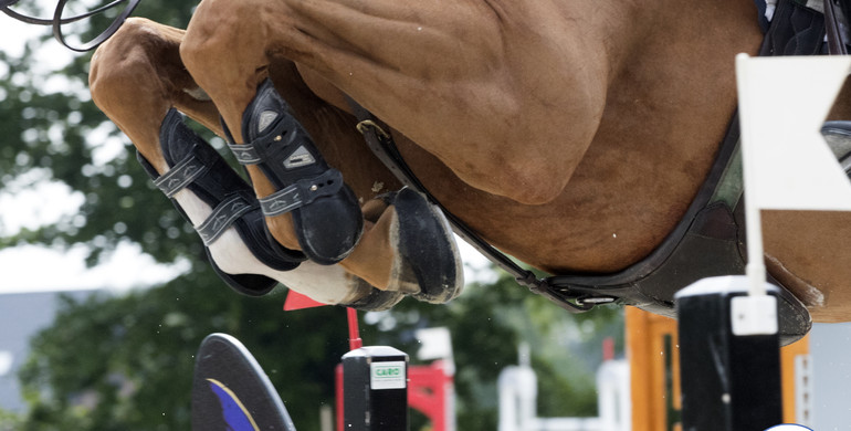 Abdullah Al Sharbatly wins the CSI3*-W Grand Prix in Riyadh