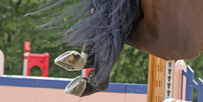 This weekend's CSI2* Grand Prix winners