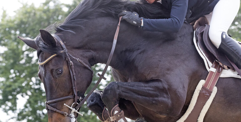 This weekend's CSI2* Grand Prix winners